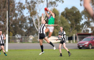 Royal Blues cage stunned Tigers
