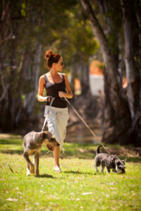 Keep dogs on leashes or face a ‘ruff’ time