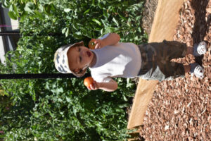 Collective growth at community garden