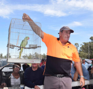 Crowds flock to poultry auction