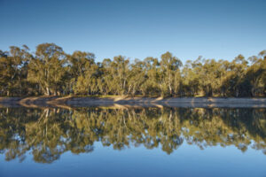 Buybacks move prompts irrigator rage