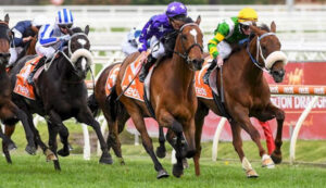 Prime Caulfield Cup ride for McNeil