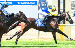 Cup kings split the difference