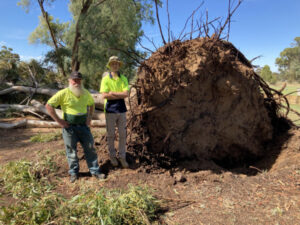 Australia Day storm rips through Gannawarra