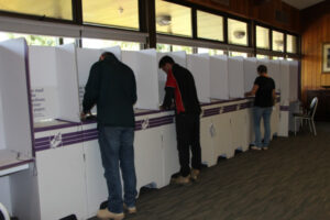 Telephone voting for flood areas