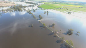 Loddon River major flood level expected to linger