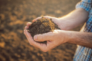 More than just a film about farming