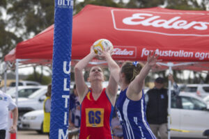 Lions roar into grand final