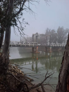 A foggy Friday 13