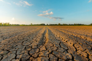 Mallee shares in drought preparation funding