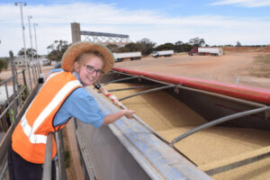 Record harvest yields expected
