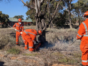 Kerang Rotary launch centenary project