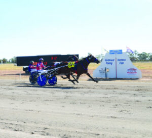 Festive day of trots