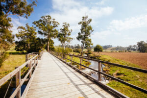 What to do about proposed rail trail