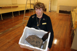 Termites try to deter history