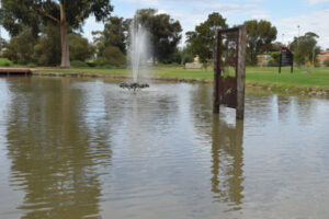 Water, wine and charm – Kerang