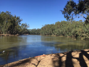 Water ‘report card’ shows improvement