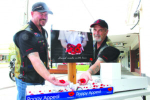 Support for Poppy Appeal