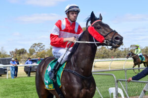 Llogan joins McNeil winners’ list