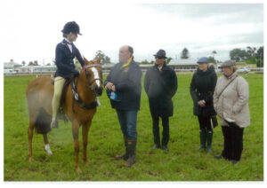 Horse man’s passion showing