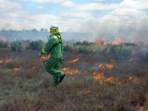 La Nina lifts bushfire risk