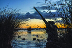 States backs hunting with reforms