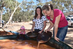 Central Victorian Goldfields world heritage bid gets boost