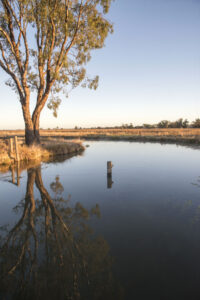 Torrumbarry No.3 Channel emptied