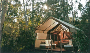 Camping close to nature