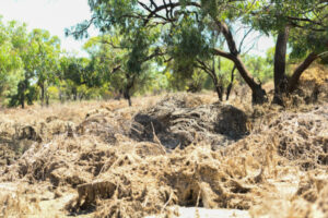 Fee-free disposal of flood waste extended