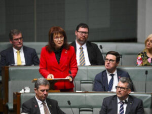 Webster wants social media giants held to account