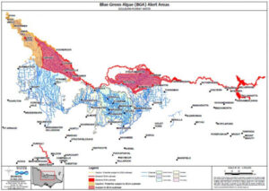 More toxic algae; hits Mallee supply