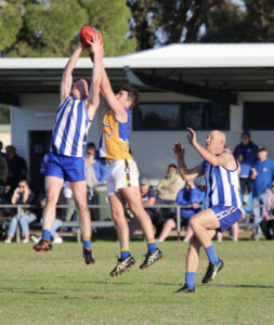 McKernan has impact for Roos