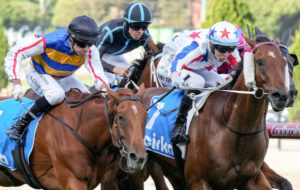 Weekend of wins
