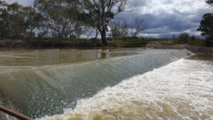 Flow trifecta to have fish champing at the bit