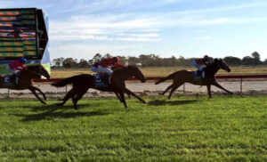 Public holiday cup meet