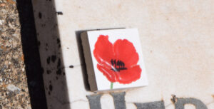 Poppies tribute ‘contrary to principle’