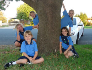 Guides set to expand