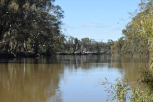 Budget funding could be used for water buybacks, says minister