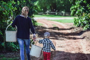 Ripple effect through rural communities