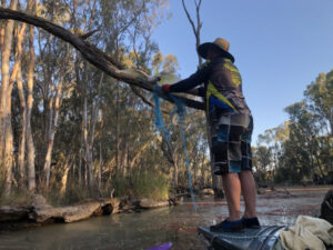 Rescue mission to save tangled cockatoo