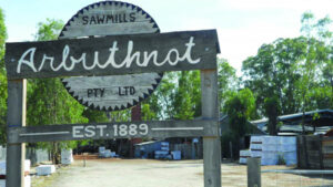State government to axenative timber logging