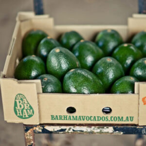 Growers deal with avocado market dips and rises