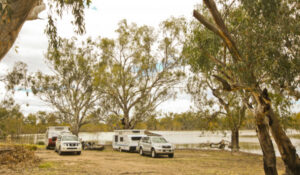 Free camping this summer