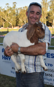 Feature goat show