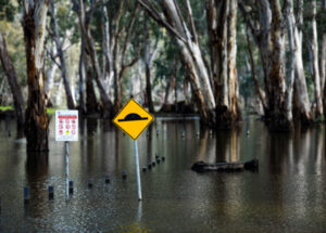 Minor flooding in the Loddon