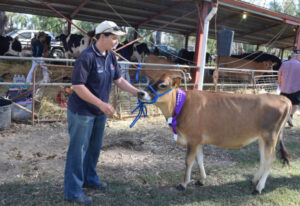 Citizens rally for Cohuna Show