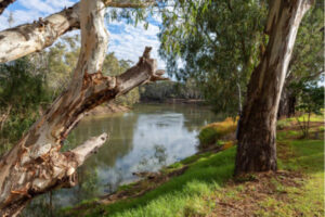 Vibrant towns warm welcome Tooleybuc