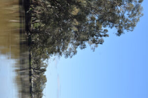 Water buybacks ‘exploit’ flood-hit farmers VFF