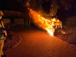 Fire bug sets council bins alight